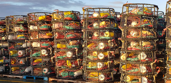 Crab traps and floats